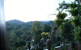 River View Guest House